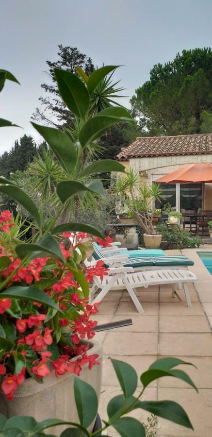 Chez Mamiyo Apartment Gallargues-le-Montueux Luaran gambar